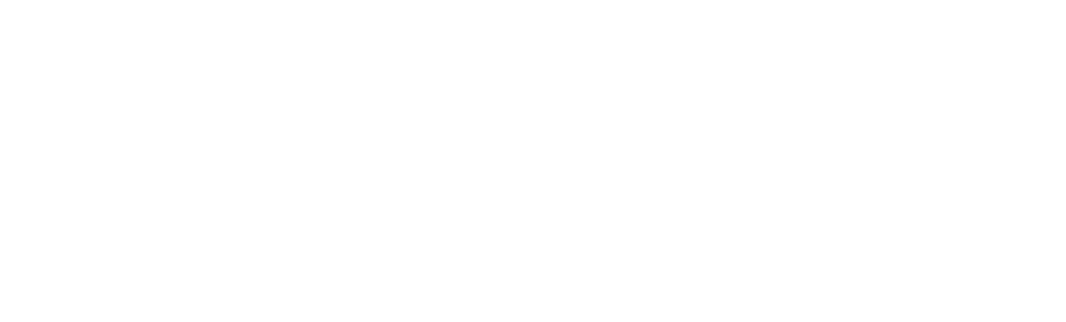 Logo Organilog Blanc (icône à gauche) Fond Transparent