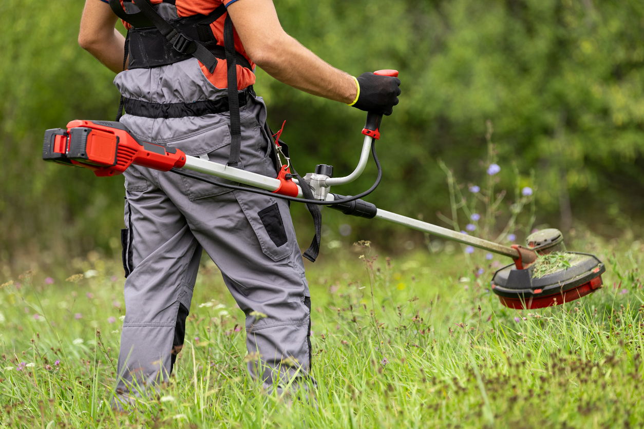 Mod Le Contrat D Entretien D Espaces Verts