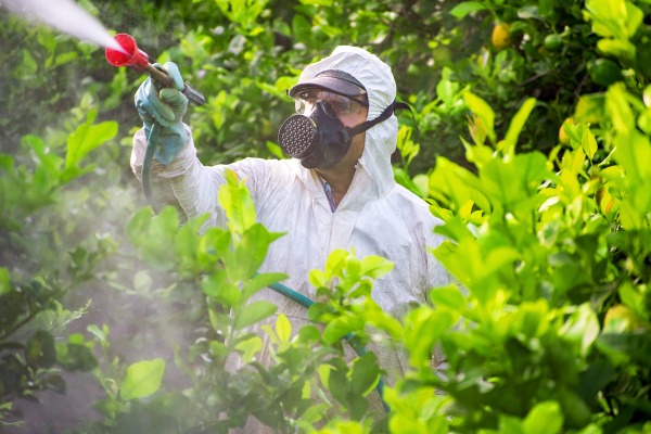 Insecticides & acaricides : guide complet pour les pros de la 3D