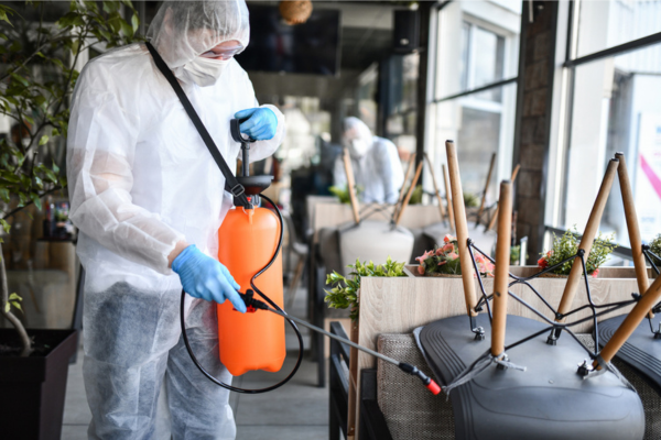 Fournisseur de produits anti nuisibles : comment bien choisir ?