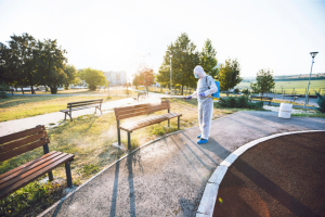 Dératiseur en milieu urbain